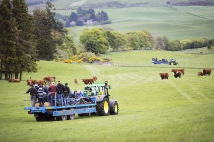 Scotland's Beef Event 2015