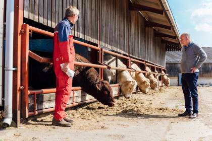 Dalswinton Farm Manager, Andy Williamson, discussing selection of bulls with farm consultant, Davidson Thorburn.  